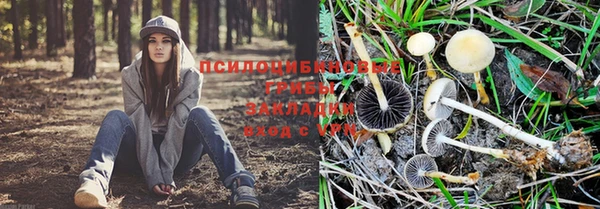 каннабис Сафоново