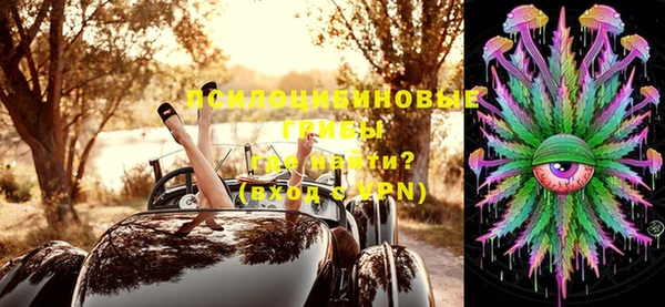 экстази Сатка