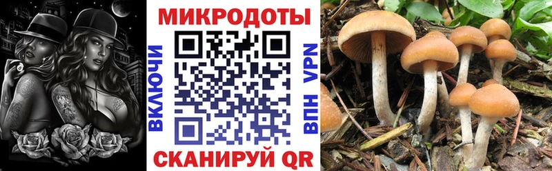 Псилоцибиновые грибы мухоморы  Купить закладки  Одинцово 